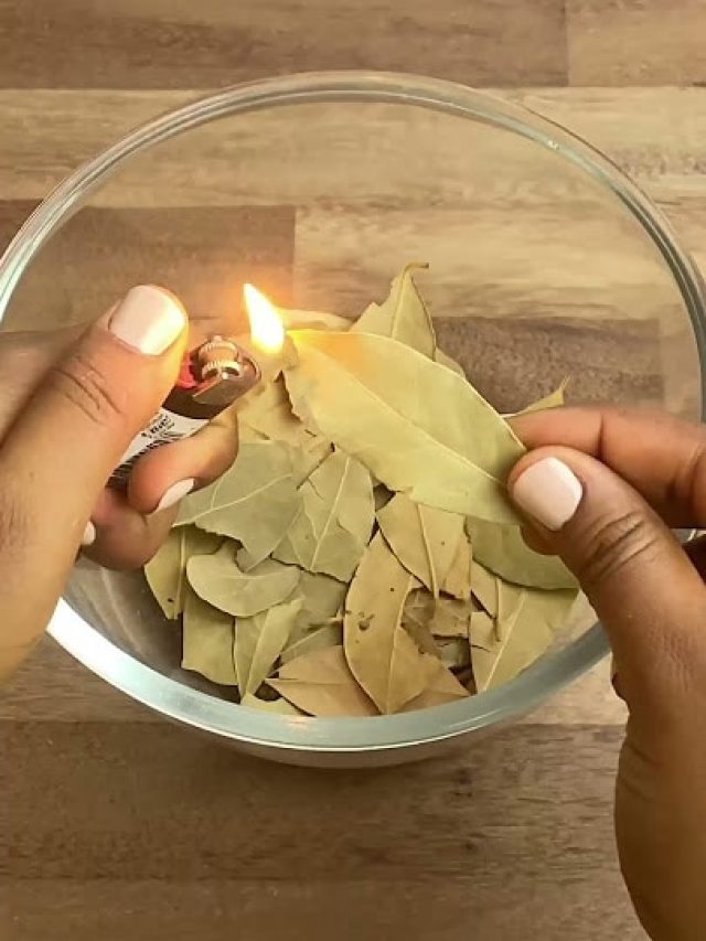 রোজ রাতে রান্নাঘরে তেজপাতা পোড়ালে খেলা ঘুরে যাবে, করেই দেখুন না