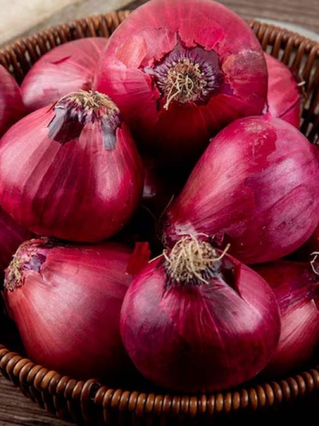 পেঁয়াজ আমিষ নাকি নিরামিষ? সত্যিটা এখনই জানুন