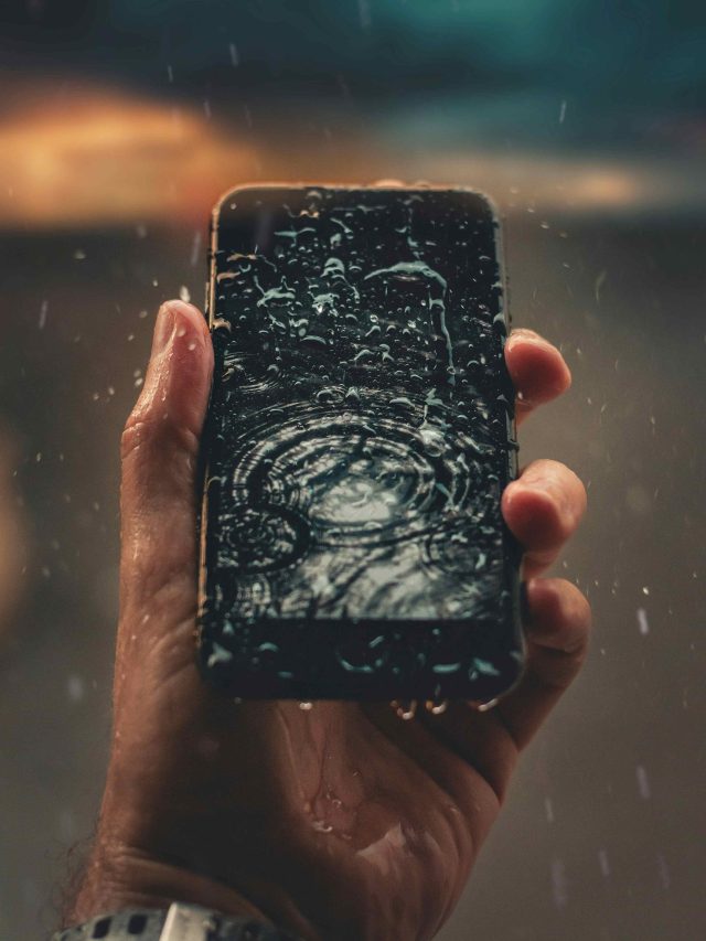 যাহ্! ফোন জলে পড়ে গেল? এই দানার মধ্যে রাখলে শুষে নেবে