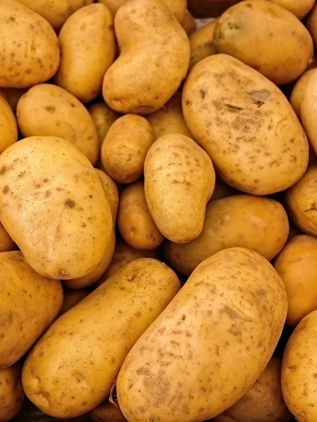 ব্লাড সুগারে বিন্দাস খেতে পারেন, নতুন vs পুরনো আলু; কোনটা স্বাস্থ্যকর