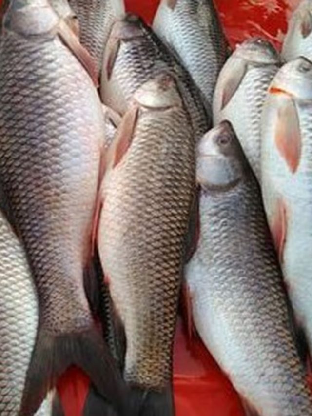 জানলে আর ফেলবেন না, মাছের এই অংশগুলি পুষ্টির ভাণ্ডার