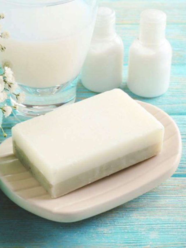 সাবান চলবে গোটা মাস জুড়ে, এভাবে রাখলে কখনও গলবে না