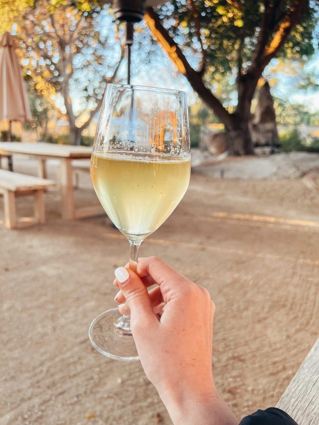 General Knowledge: ওয়াইন কি মদ? এটাও জানেন না আপনি