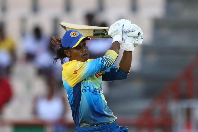 वर्ल्ड कप में एक टॉवल ने खड़ा कर दिया बखेड़ा, OUT होने से बचा बैटर, VIDEO