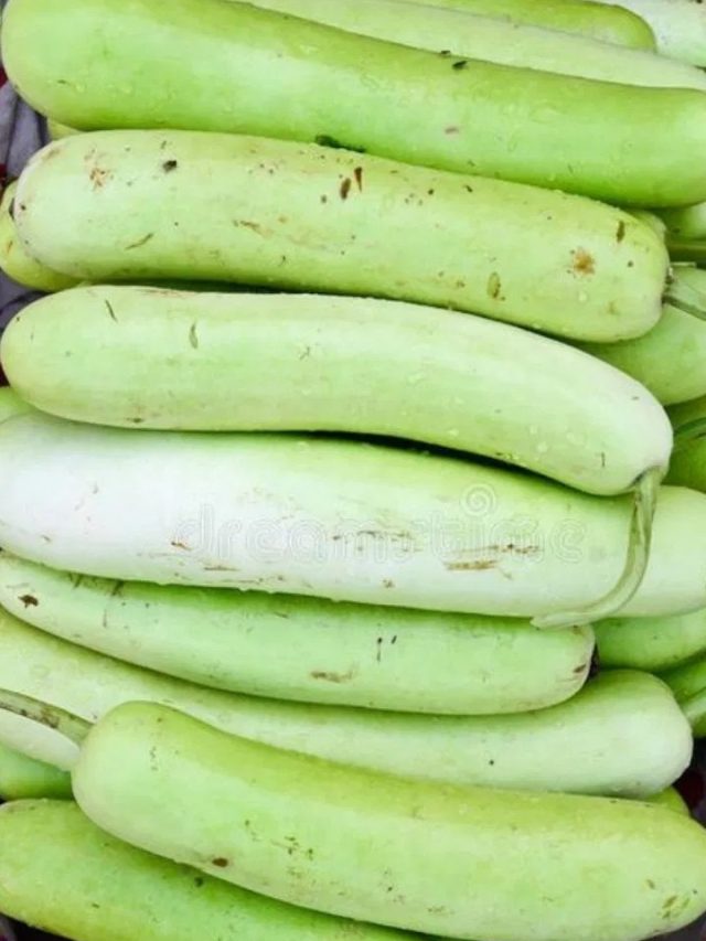 হতে পারে মারাত্মক বিষক্রিয়া, এই  ২ সবজি দিয়ে লাউ কখনই খাবেন না