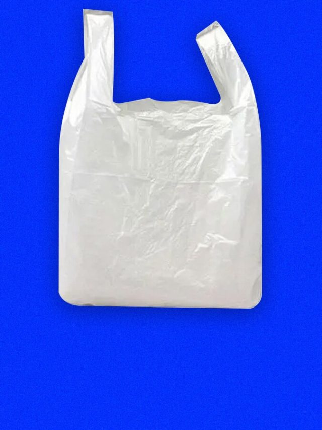 কাজের লোক ছাড়িয়ে কয়েক ডজন প্লাস্টিক কিনুন, ঘর মোছার ভাইরাল ট্রিকস; শিখুন