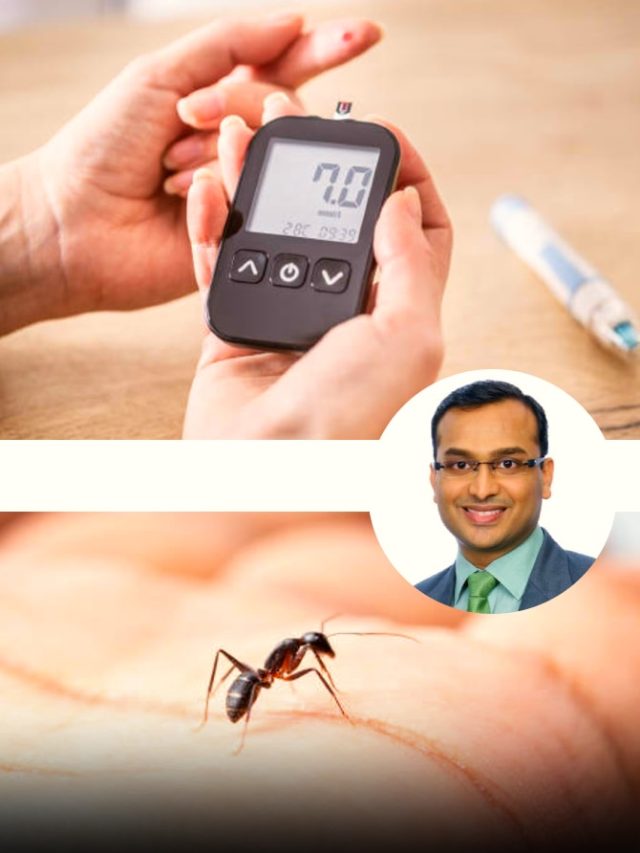 चीटियां भी बताती हैं कि आपको डायबिटीज है! बॉम्बे हॉस्पिटल के डॉक्टर ने बताया