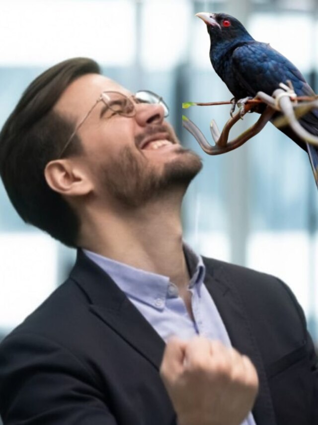 কোকিলের এই গুণ থাকলে সাফল্য আসবেই, বলছেন চাণক্য