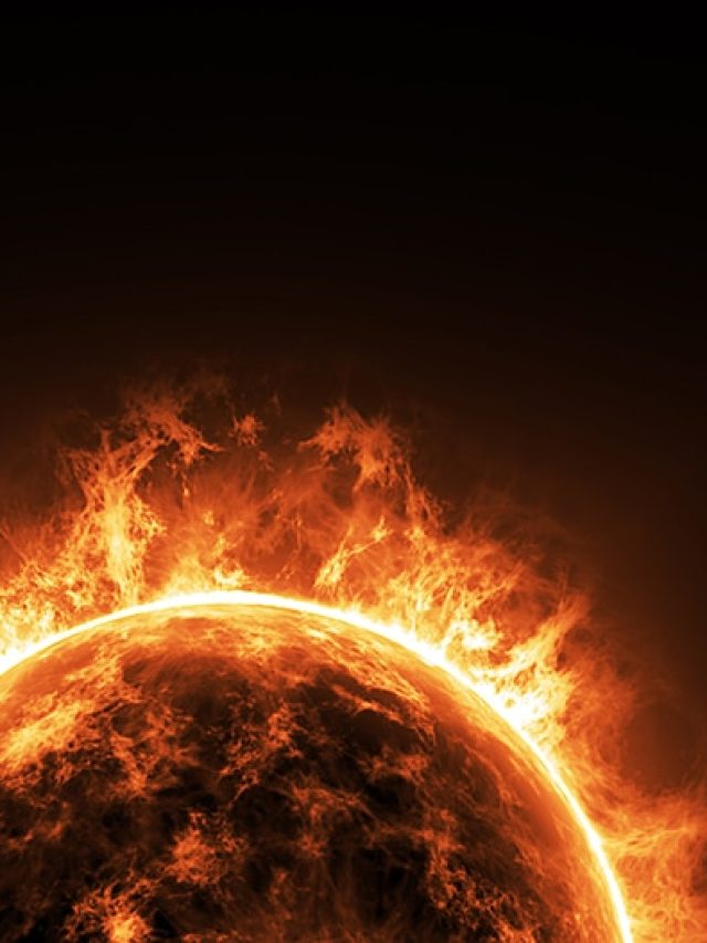Sun has officially reached its Solar Maximum! Here’s what happens next