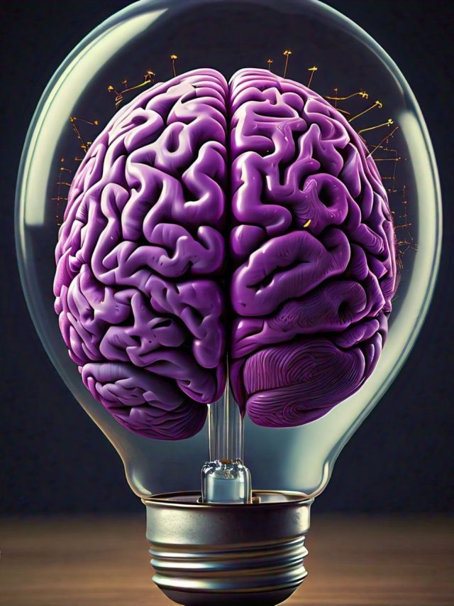 ব্রেনের সুপারফুড এসব খাবার! খেলে, কম্পিউটারের থেকেও জোরে দৌড়াবে মাথা