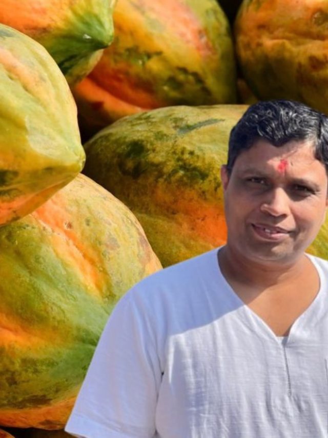 ঠিক এই সময়ে পেঁপে খেলে গলবে পেটের জেদি মেদও, টিপস আচার্য বালকৃষ্ণের