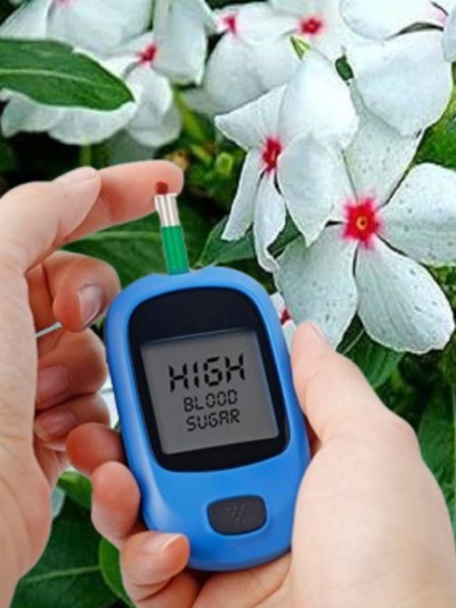 ইনসুলিনের কাজ করে এই ফুল গাছ, ৯৯% ডায়াবেটিস রোগী জানেন না