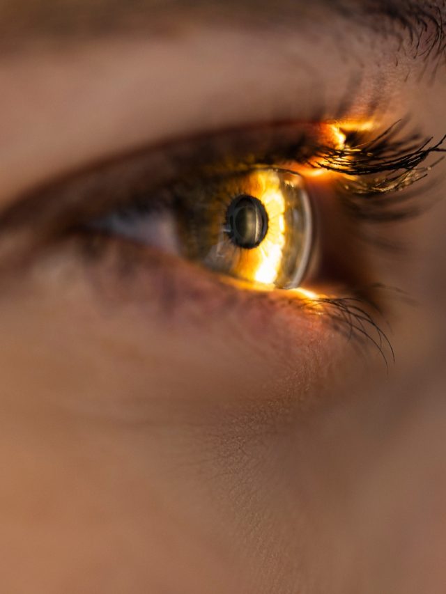 বাজপাখির মতো দৃষ্টিশক্তি হবে! এই গুলি খেলে...