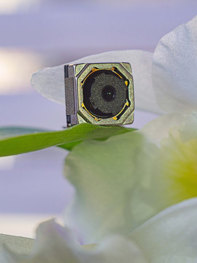 বাল্বের মধ্যেও লুকানো থাকে স্পাই ক্যামেরা! ব্যক্তিগত মুহূর্ত ফাঁস হওয়ার আটকান এভাবে