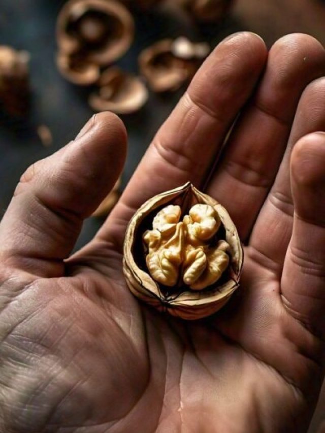 एक दिन में खाने चाहिए कितने अखरोट, जान लें वरना कर बैठेंगे फायदे की जगह नुकसान