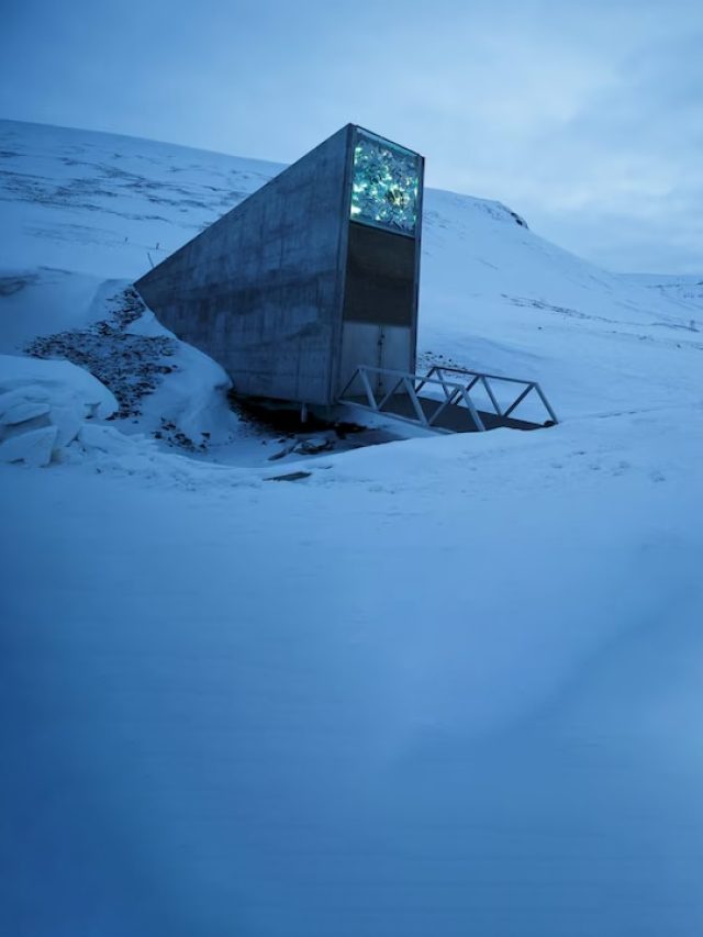 'Norway's doomsday vault is full': A haunting call to preserve humanity's last hope