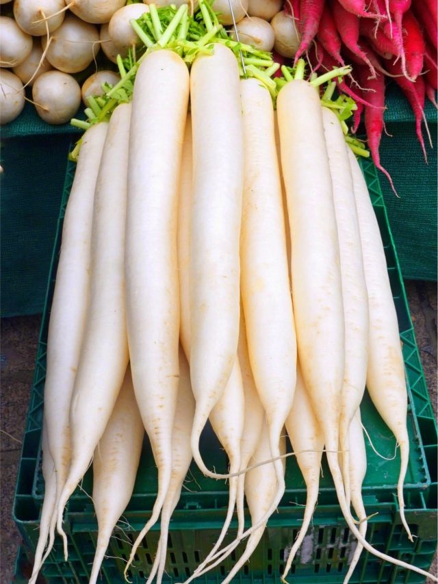 মূলোর সঠিক ইংরেজি জানা আছে? বহু শিক্ষিত মানুষও কিন্তু ফেল