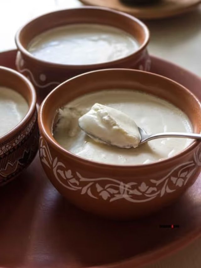 দই পাতার ছাঁচকে কী বলে? মা-ঠাকুরমারাও বেশিরভাগ জানেন না