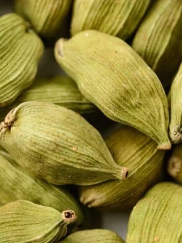 বুকপকেটে রেখে দিন ২টো এলাচ, ব্যস, খেলা শুরু