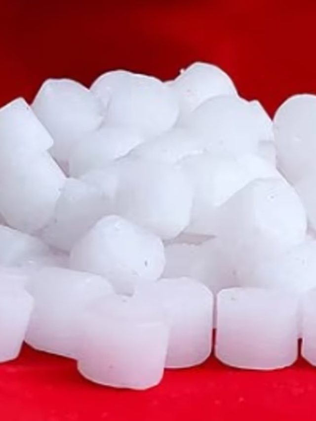 বুকপকেটে রাখুন ১ টুকরো কর্পূর, উপচে পড়বে যৌবন