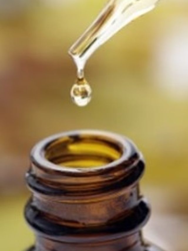 রোজ রাতে ১ ফোঁটা নারকেল তেল, বুড়ো হলেও উপচে পড়বে যৌবন