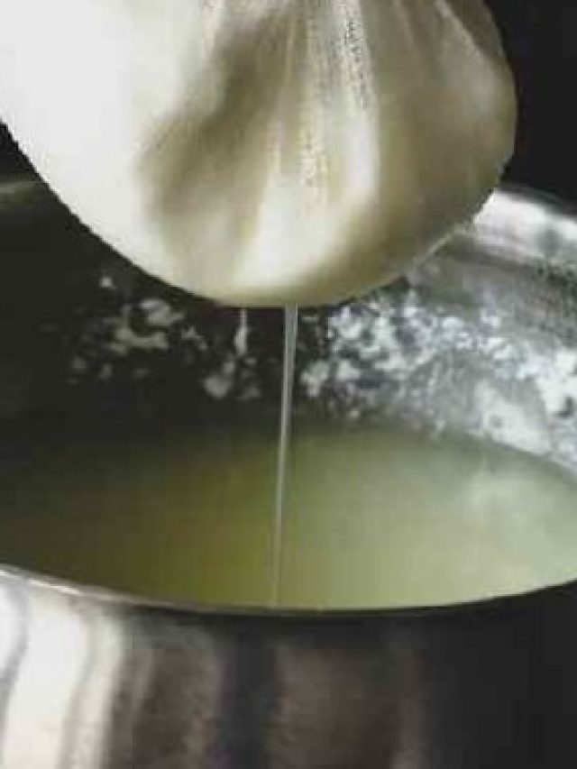 ছানার জল এসব উপকারে লাগে, আর ফেলবেন না