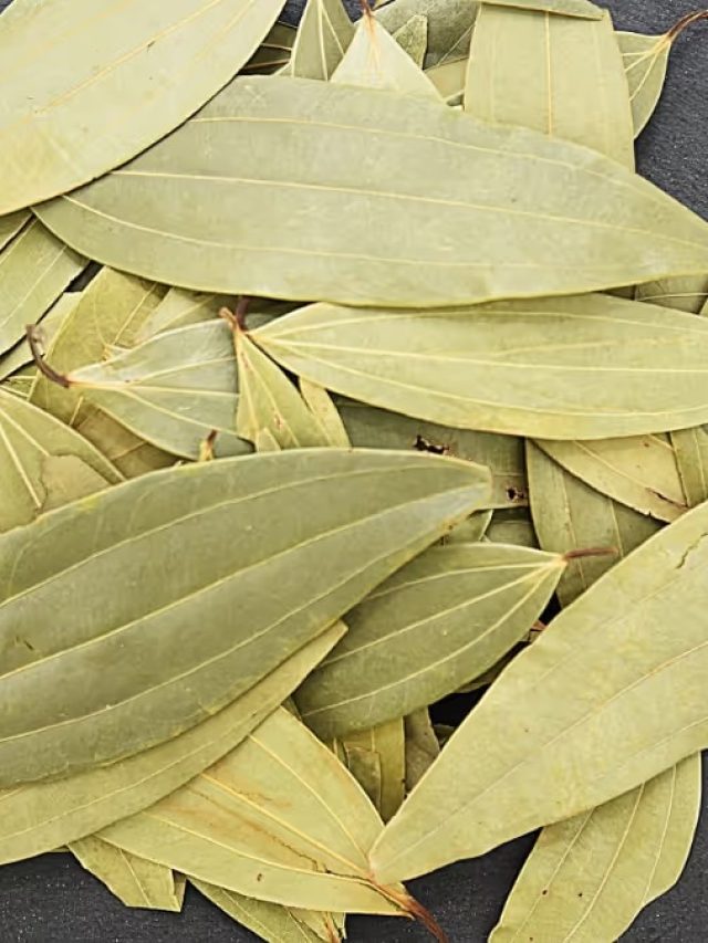 রোজ রাতে রান্নাঘরে একটা তেজপাতা পোড়ান, এসব উপকার পাবেন