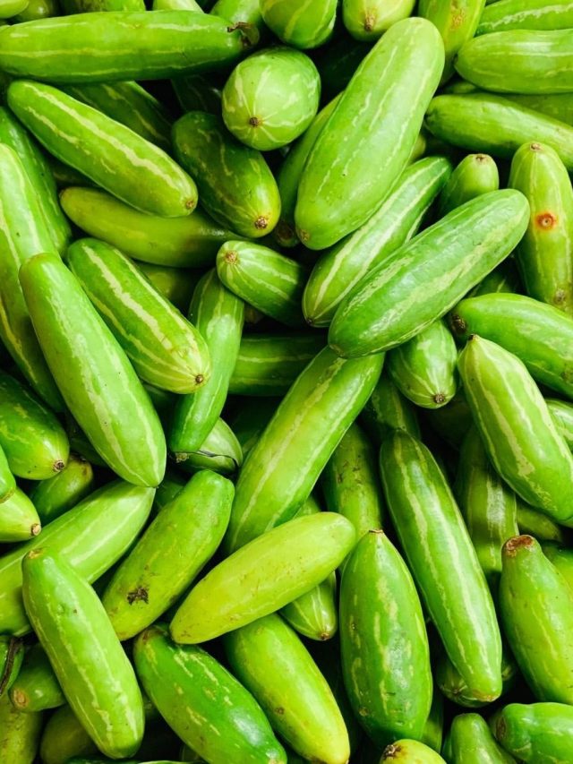 বাপ বাপ বলে পালাবে ডায়বেটিস, পটলের মতো দেখতে এই সবজিতেই হবে কাজ