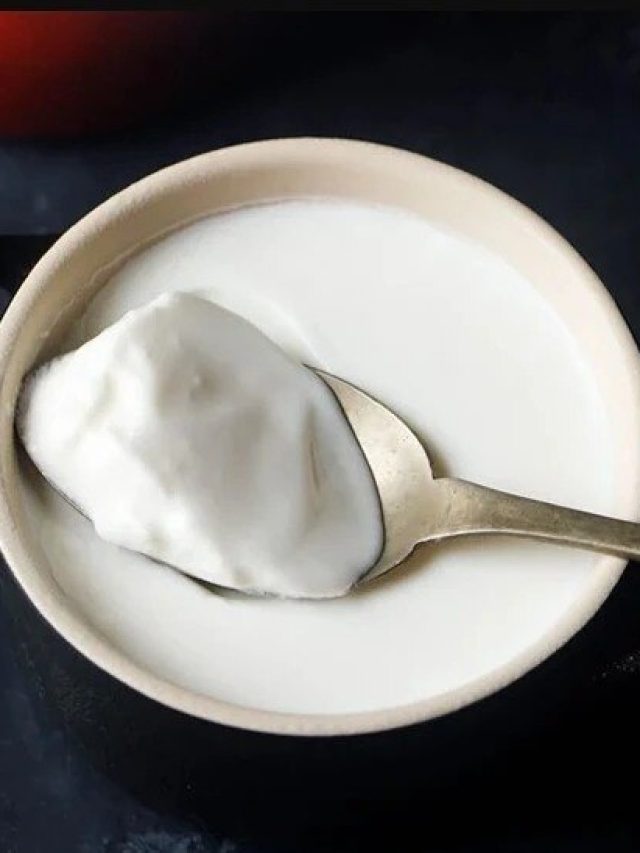 যে কারণে অনু্ষ্ঠানবাড়িতে দই খাওয়া শরীরের জন্য মারাত্মক হতে পারে