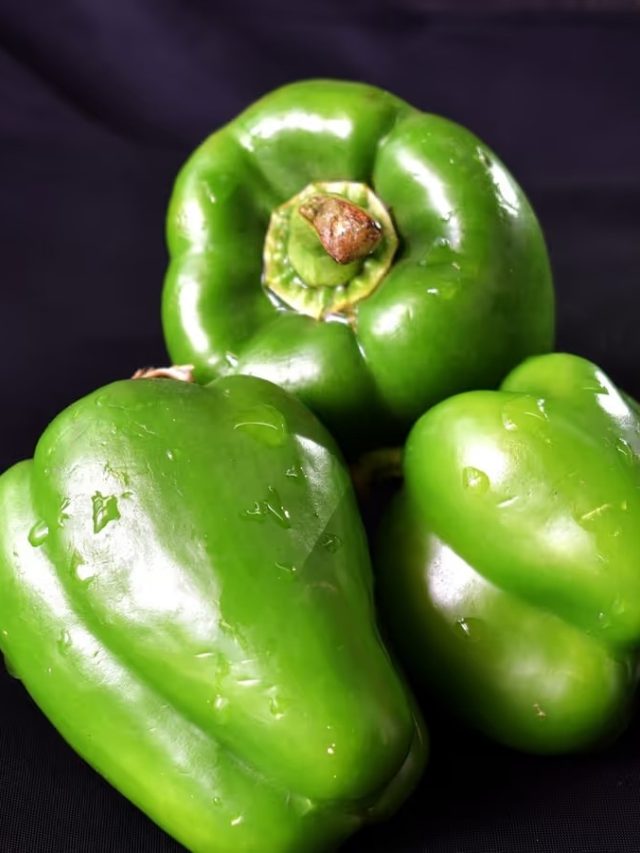 পুরুষ ও স্ত্রী ক্যাপসিকাম চিনবেন কীভাবে?  কোনটি রান্নায় দিলে স্বাদ হবে, জেনে নিন