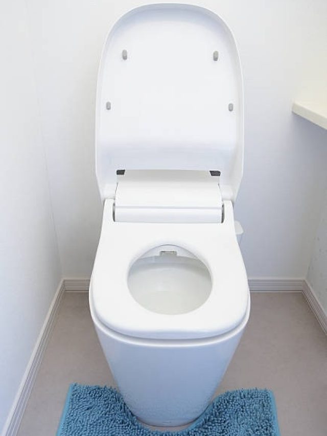 ১০ টাকায় কমোড হবে নতুনের চেয়েও চকচকে, টয়লেট ক্লিনার কেনা বন্ধ