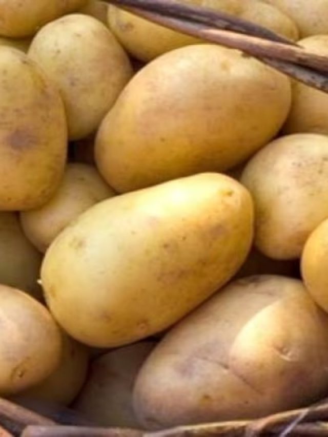 শুধু লাগবে ১টা আলু, জীবনে  টাকার অভাব  হবে না