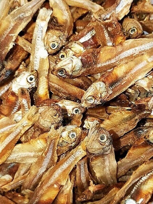 ঘটিদের জন্য গোপনে শুঁটকি রাঁধার স্পেশাল টিপস, একটুও গন্ধ থাকবে না