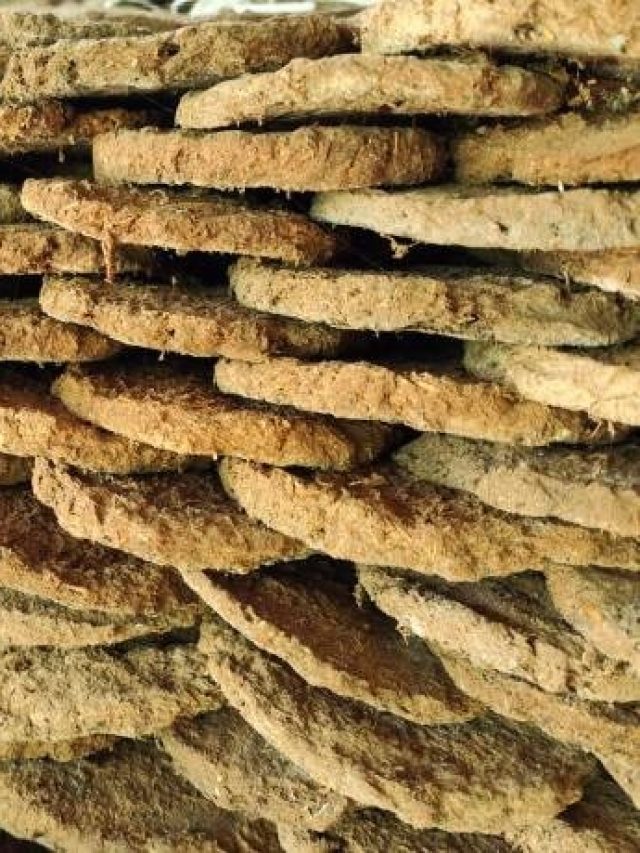 এটাও কেক, তবে খাওয়া যায় না, কিন্তু অনেক কাজে লাগে; জানেন?