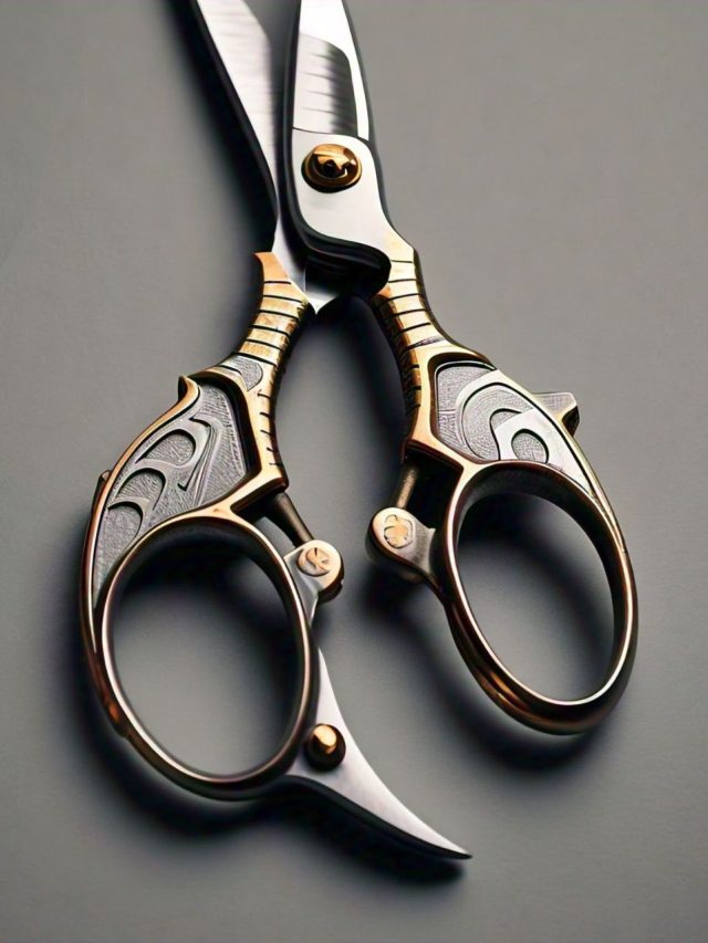 ভোঁতা কাঁচি ধারালো এই কাগজ দিয়ে! জাপানের হ্যাকশ শিখে নিন