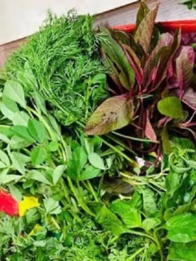 চোদ্দ শাকের অনেক গুণ, জেনে নিন ভূত চতুর্দশীর আগেই