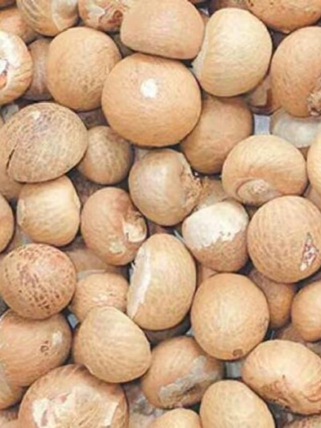 ১টা সুপারি রেখে দিন প্যান্টের  পকেটে, শুরু  হবে খেলা