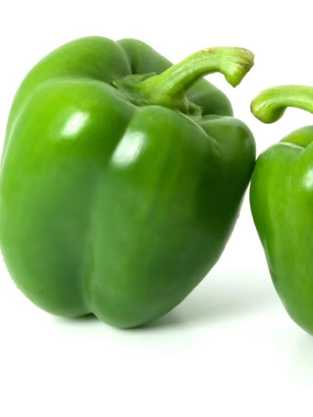 পুরুষ এবং স্ত্রী  ক্যাপসিকামের মধ্যে মূল ফারাক কী? অনেকেই জানেন না