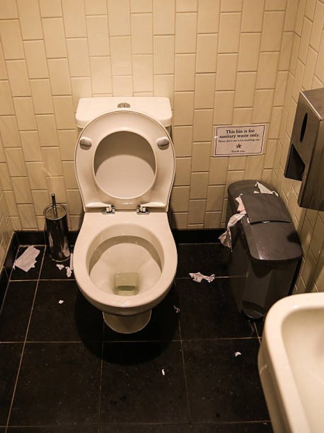 পেটের গ্যাসও দূর হবে, টয়লেটও হবে ঝরঝকে; এক জিনিসেই কামাল