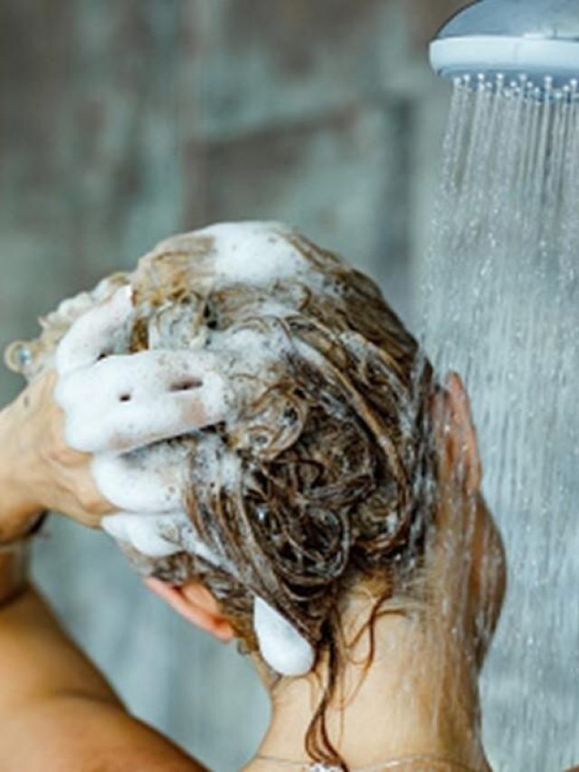 শ্যাম্পুর শিশিতে ফেলে দিন এই পাতা, পাকা চুল কুচকুচে কালো হবে