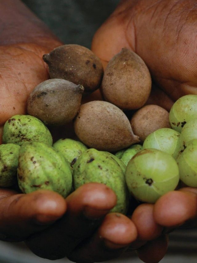 রোজ মাত্র আধগ্লাস, হারানো যৌবন ফিরবে গ্যারান্টি