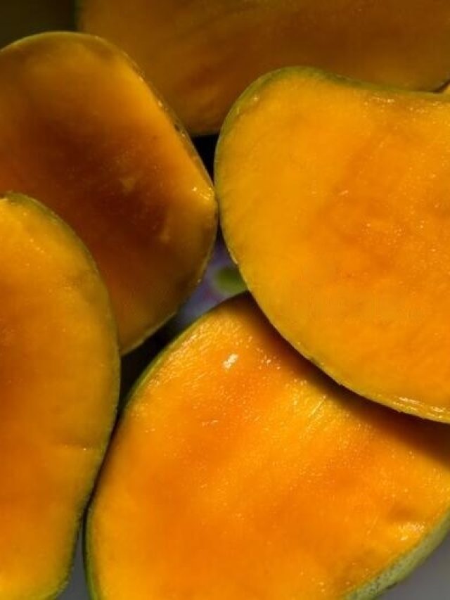 পশ্চিমবঙ্গের রাজ্য ফল কী, অতি বড় শিক্ষিতও জানে না