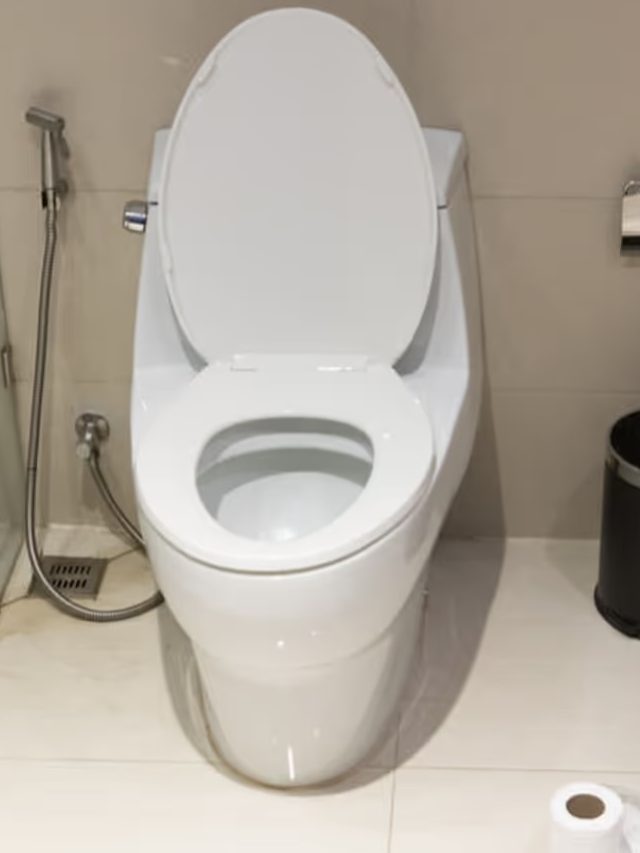 পায়খানার কমোডে মুখ দেখা যাবে! মাত্র ২ জিনিসেই সাদা ধবধবে হবে