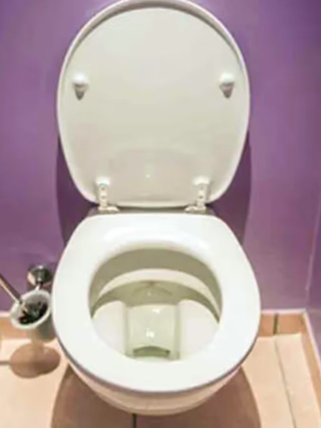 কমোডের রং সাদা কেন হয়? ৯৯ শতাংশের কারণ অজানা