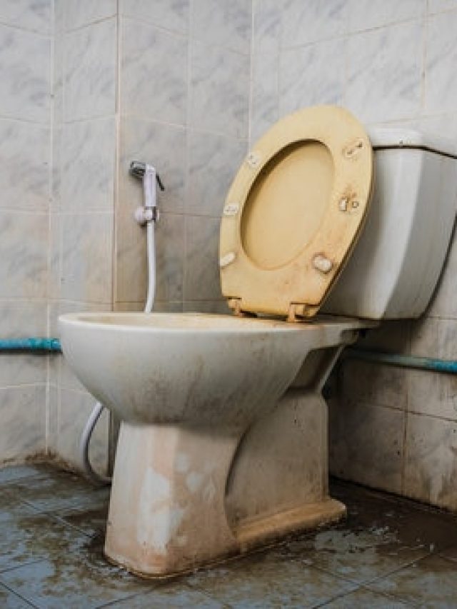 জেদি হলুদ ছাপ, রান্নাঘরের এই ২ মশলাতেই কমোড হবে ঝকঝকে