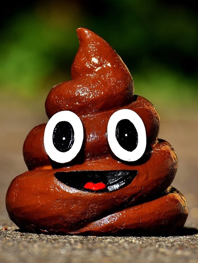 পায়খানার রং দেখেই বুঝবেন নিজের শরীরের অবস্থা, মিলিয়ে নিন