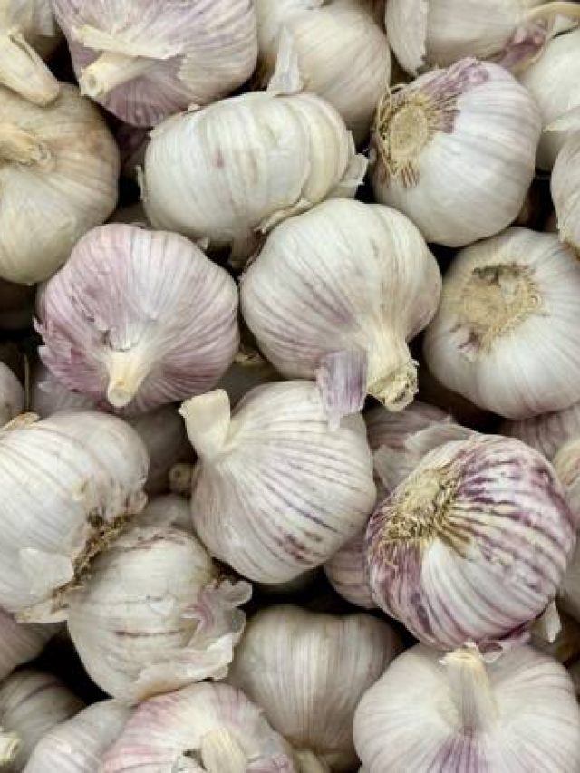 ৫ মিনিটে ৫০০ গ্রাম রসুন ছাড়ান, এটাই সবচেয়ে সহজ ট্রিকস