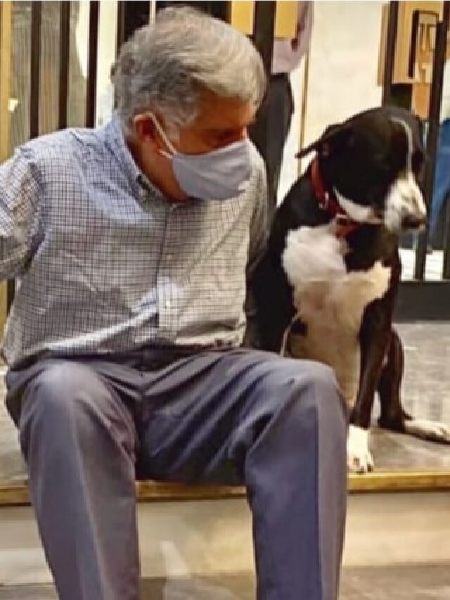 ‘I can’t leave him...’: The heartwarming story of Goa, the dog who never left Ratan Tata’s side