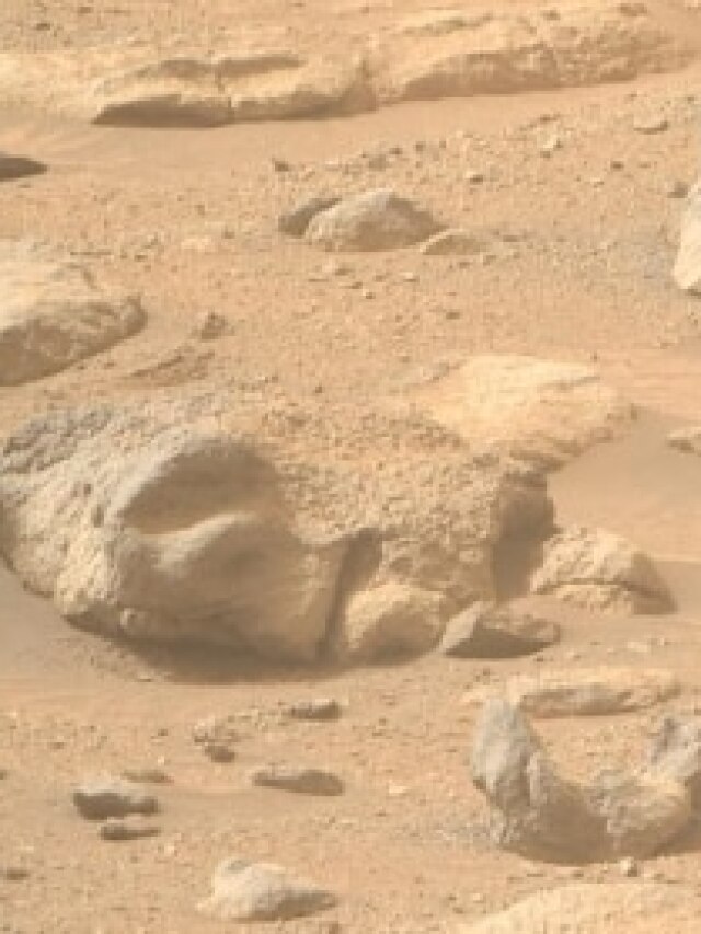 ‘Exactly like a human face’: NASA’s Mars rover finds a rock that has the world talking