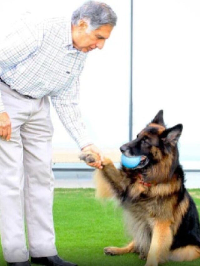 ‘The dog he chose over a king’: Ratan Tata’s will ensures lifetime care for his beloved pet Tito